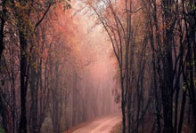 开云APP-篮猛崛起：沉默的巨兽已经苏醒