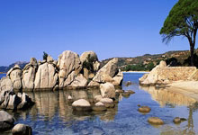 开云APP-深海扬帆！黄色潜水艇客场奏凯，钢铁意志铸就完美开门红