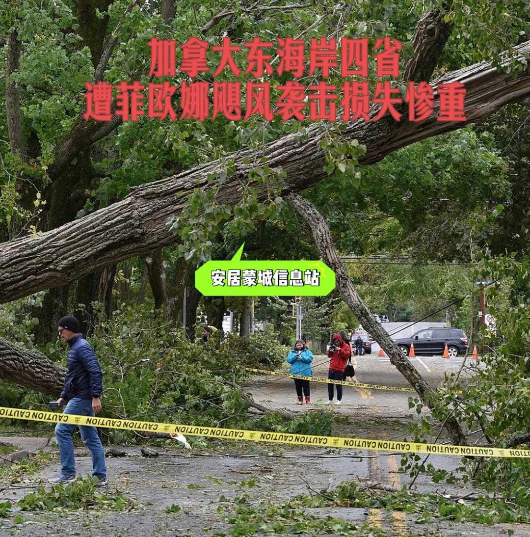 开云官网-加拿大队遭遇重创被淘汰出局