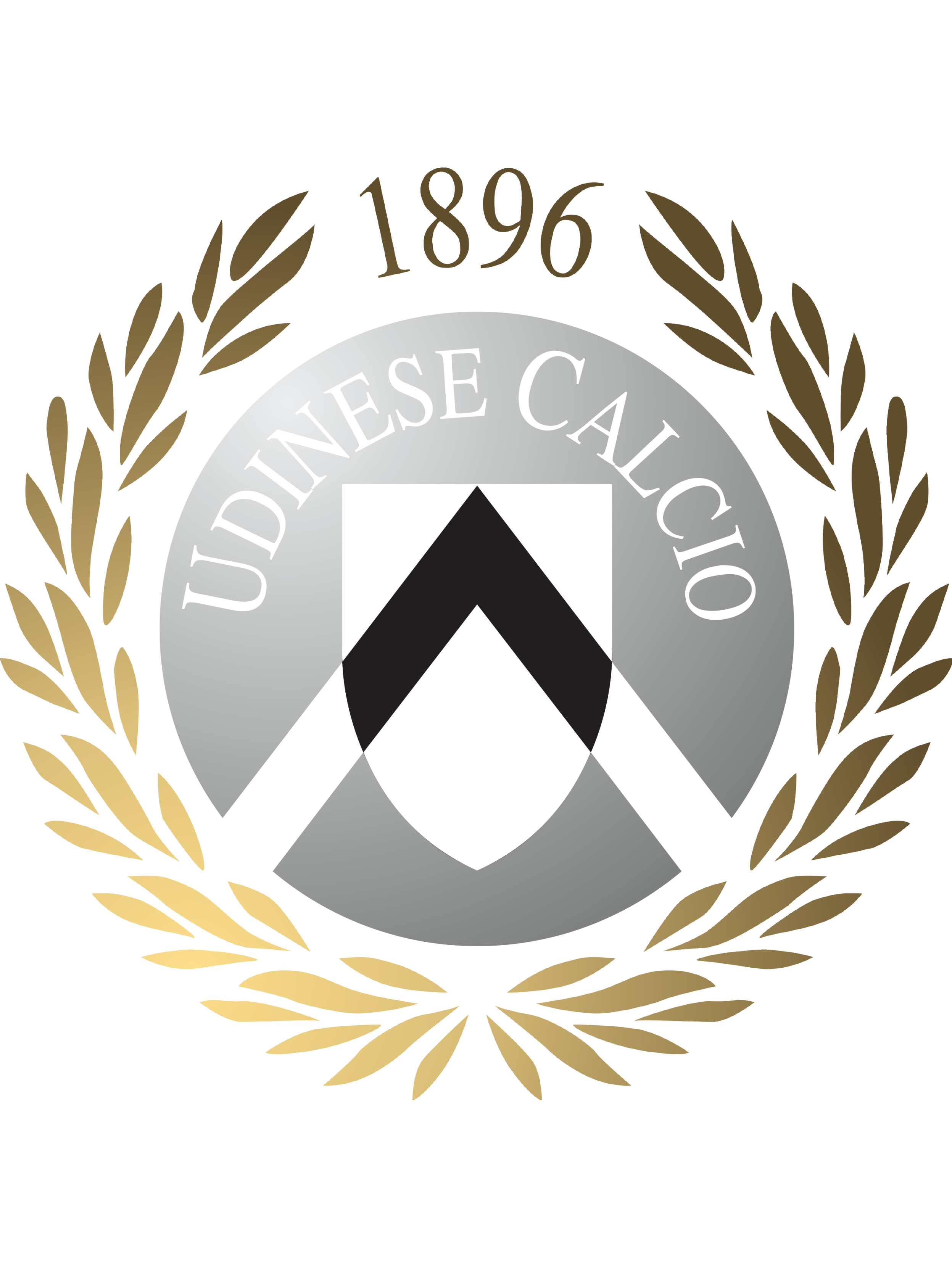 开云体育平台APP-乌迪内斯球员为保持团队精神而努力的简单介绍