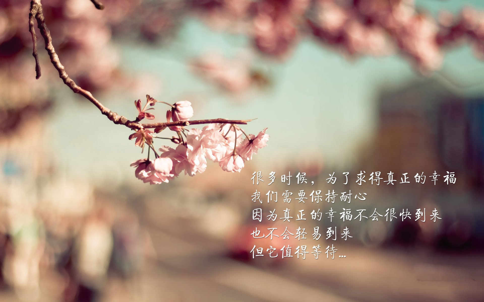 开云官网-关键先生库尔图瓦闪耀，南非爆冷拿下摩洛哥创造历史