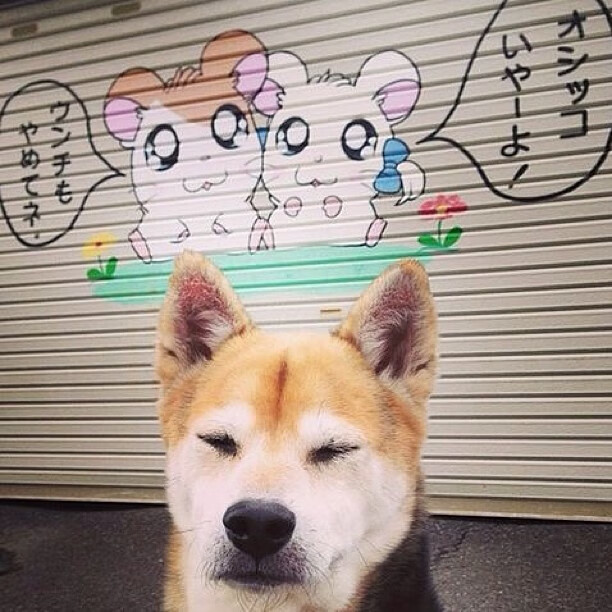 广东队客场爆冷击败活塞，德罗赞末节独揽18分成胜负手