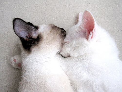 开云APP-欧冠决赛硝烟未散，浙江草根逆袭申城，足球世界的冰与火之歌