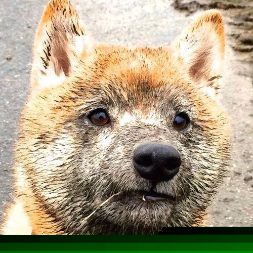 开云体育官方网站-红牌后的重生，李刚仁在摩洛哥与几内亚之战中的救赎之路