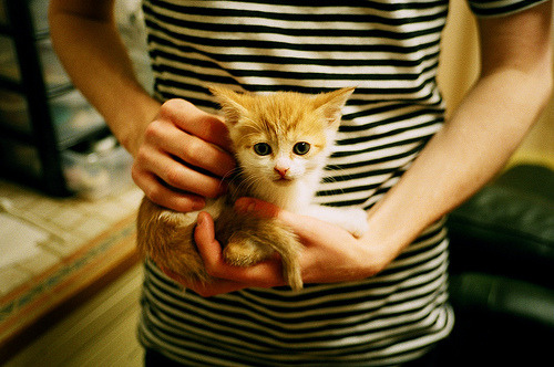 冰与火的对决，辽宁封锁灰熊，马克西奏响关键绝唱