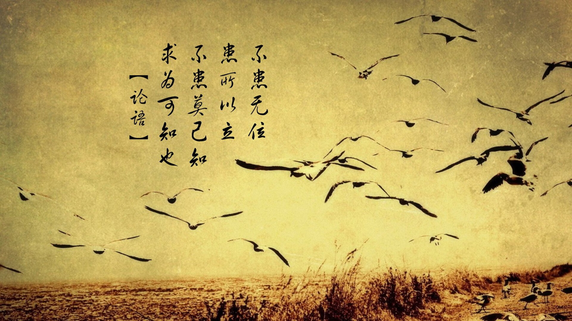 王者之战！霍勒迪在世界排名争夺战接管比赛，勇士狂胜尼克斯