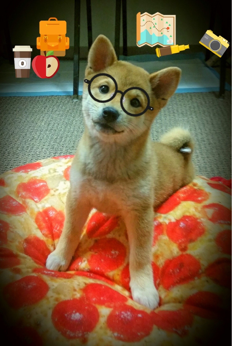 开云体育APP下载-NBA双雄日，爱德华兹领军告捷，湖人险胜热火续写辉煌