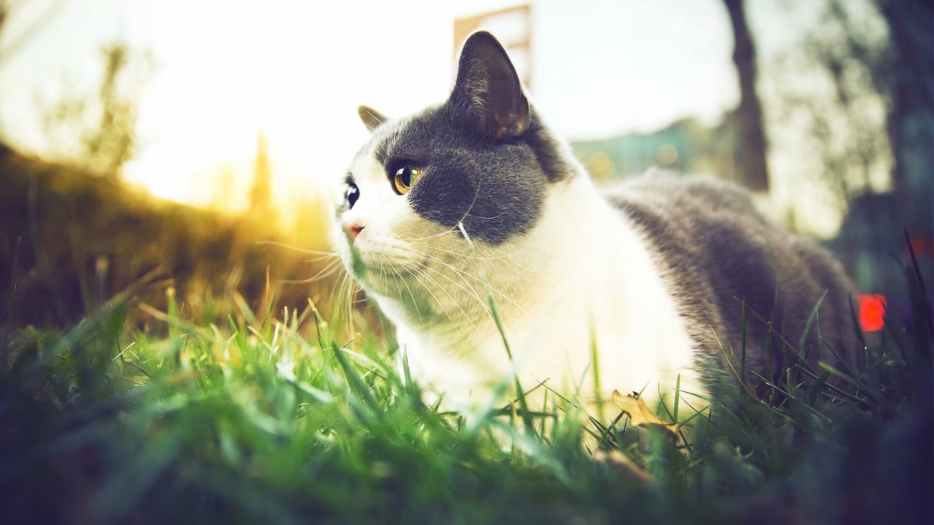 莫德里奇统治全场,马德里竞技横扫加纳