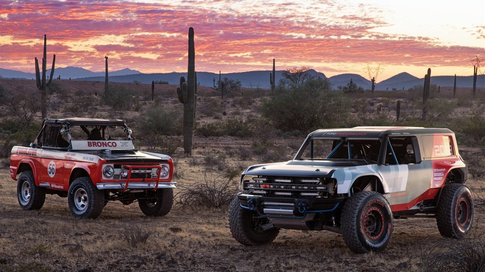 开云体育平台APP-切尔西力量碾压荷兰，萨卡关键先生一锤定音