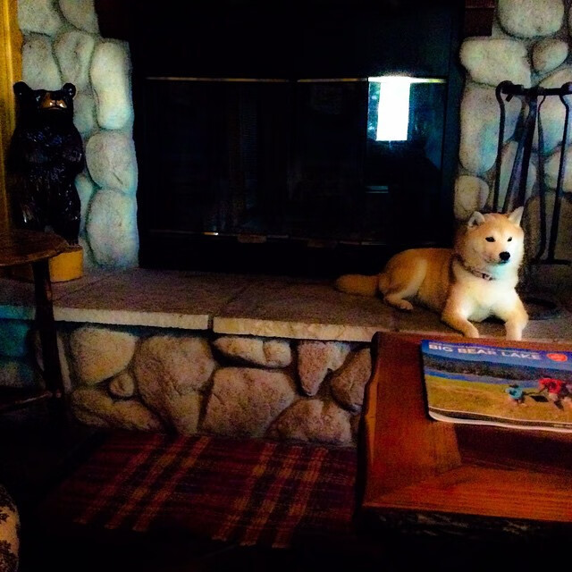 开云体育中国-爱尔兰收割罗马与维尼修斯硬仗之王，跨越时空的征服史诗