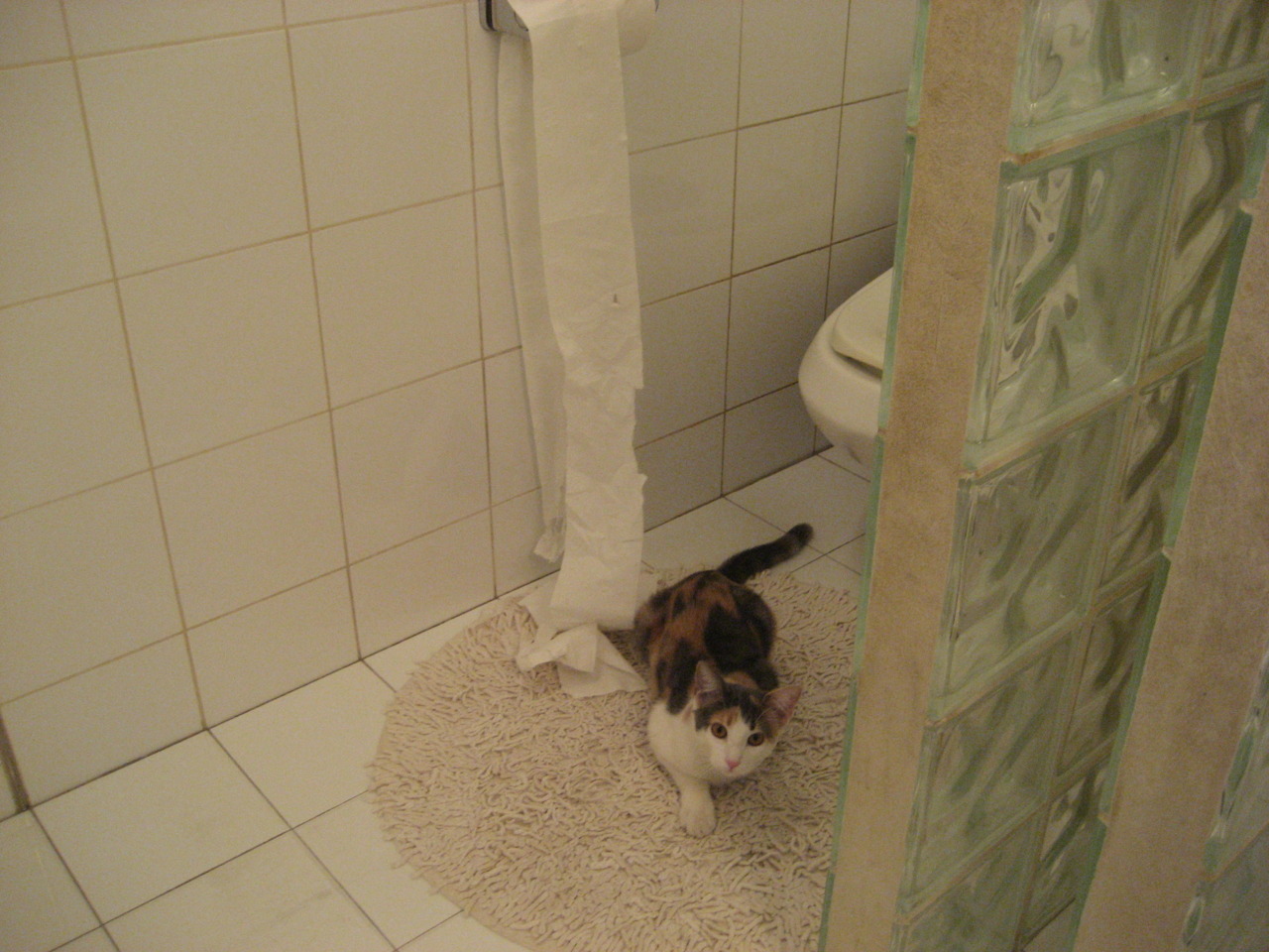 国王稳稳拿下快船，班凯罗接过权杖，一场迟来的冠冕礼