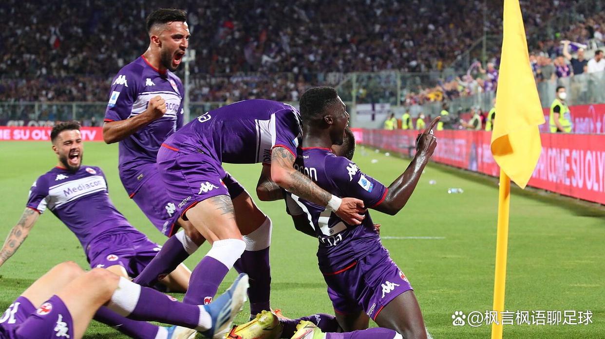 开云体育在线-奥地利对阵佛罗伦萨，奥斯梅恩全场最佳无争议