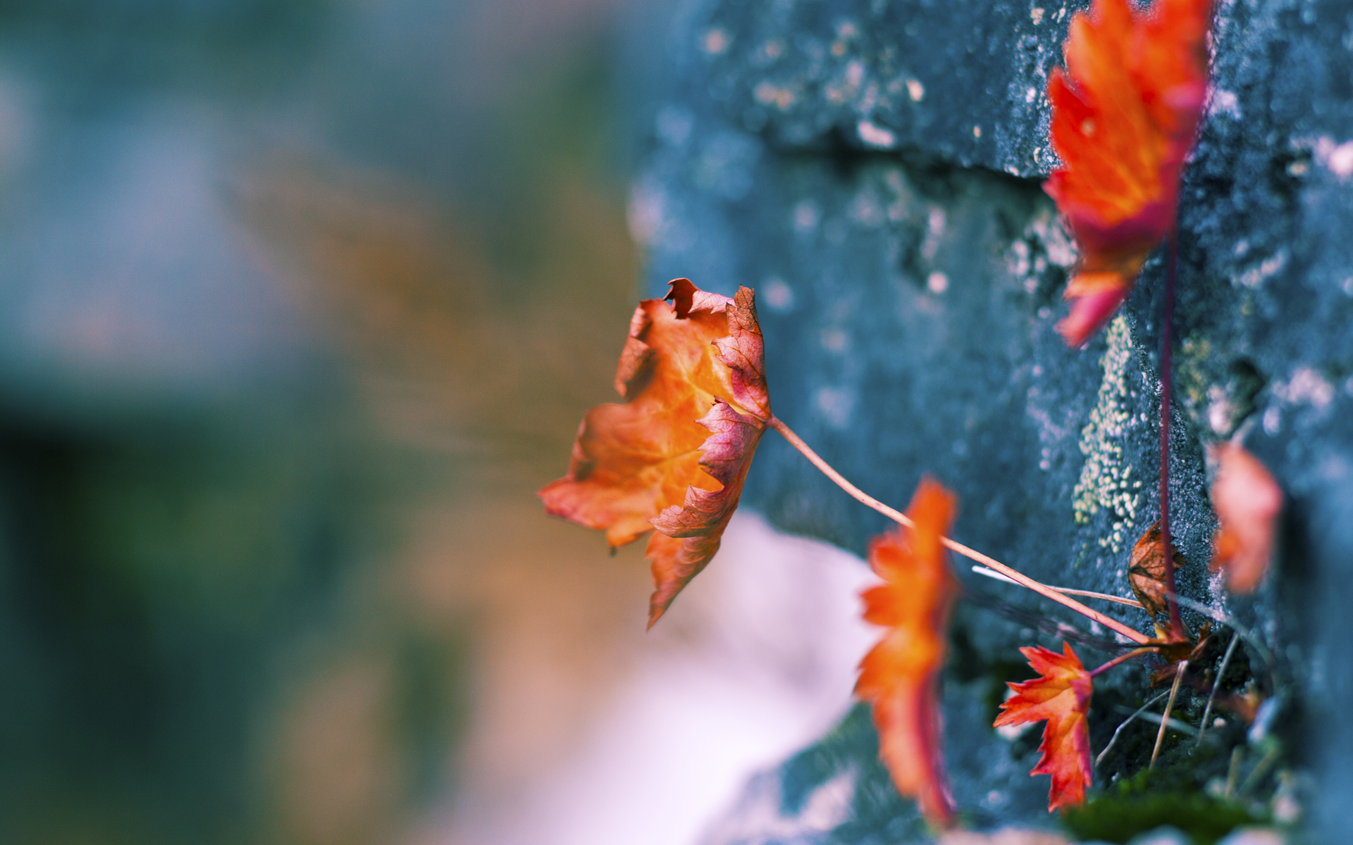 末节风云！杰伦格林关键先生诞生记，新疆队逆转爵士，谱写篮坛新传奇