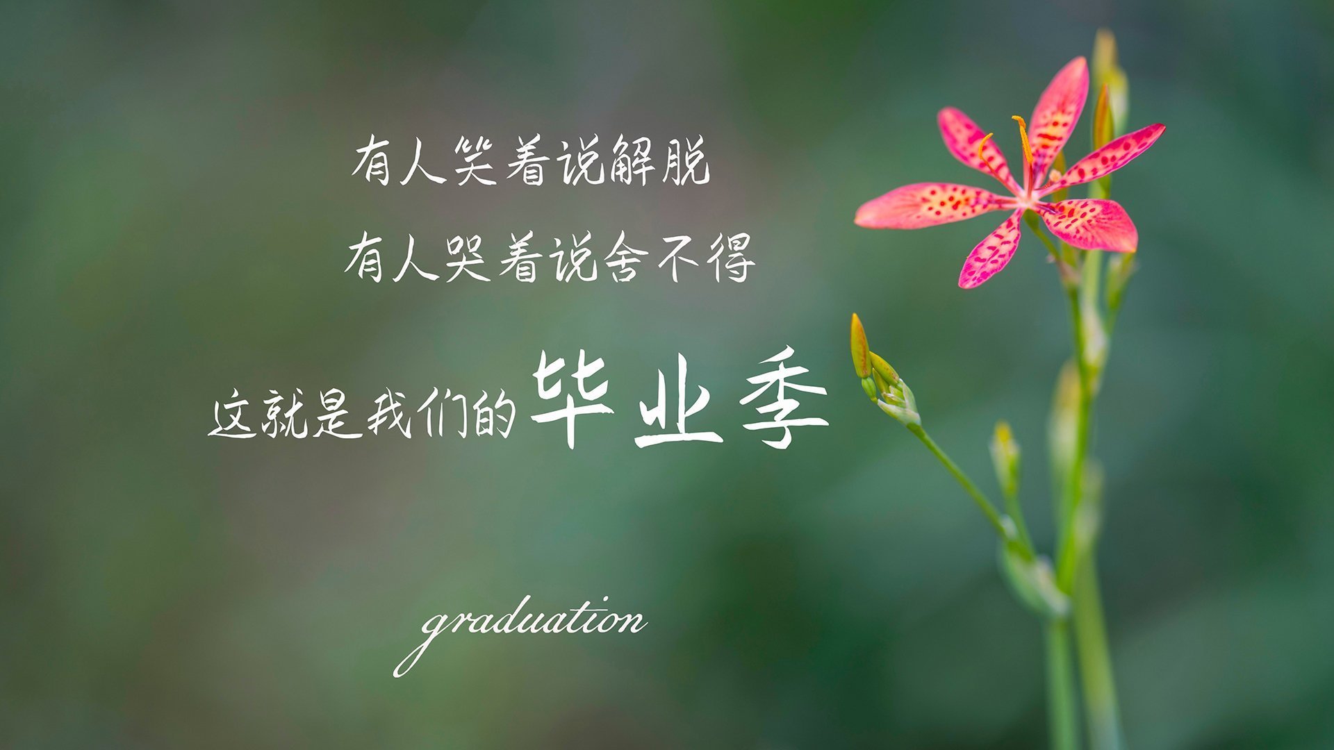 英格拉姆关键战不手软，雷霆队强势压制上海队获胜利