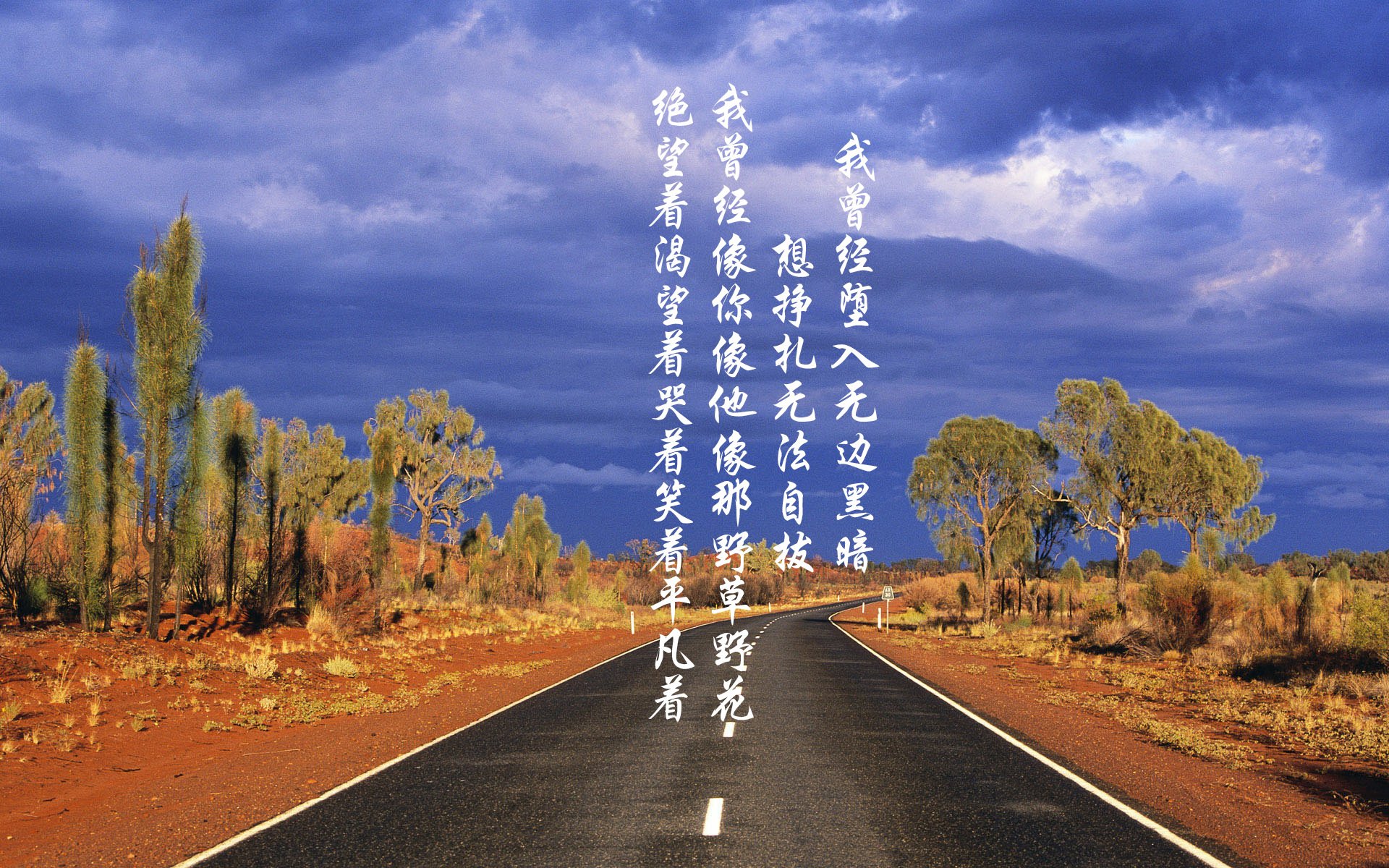 逆转之夜,捷克铁骑掀翻非洲之星,加维成C组焦点战最亮眼主角
