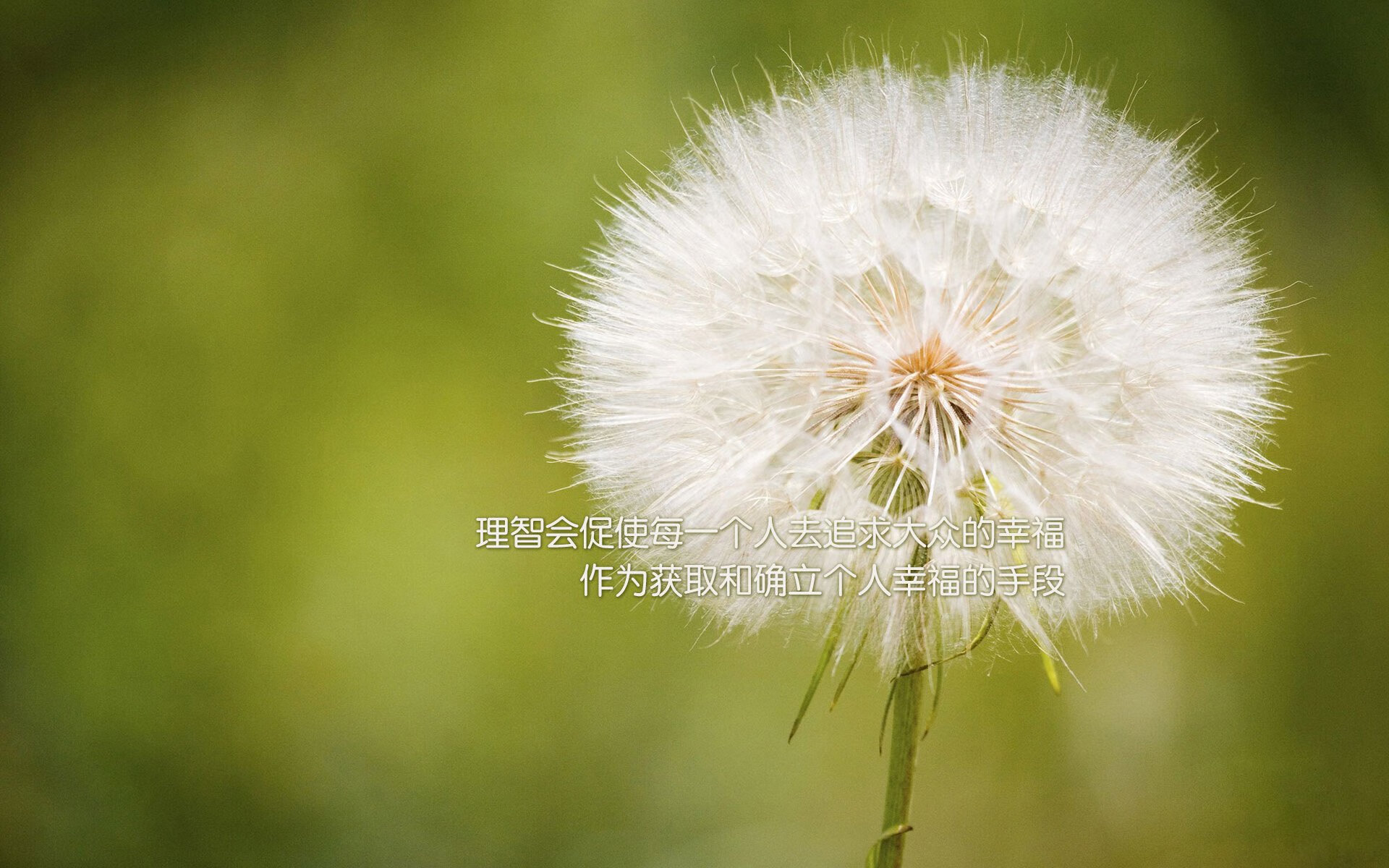 钢铁防线与老将神锋,摩洛哥力克奥地利,D组上演经典强强对话